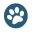 rassehundezucht.at