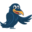 raven.com