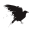 ravencresttactical.com