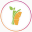 rawfountainjuice.com