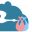 rc-web.at