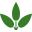 rdoffuttfarms.com