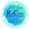 recon-group.com