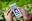 recover-wechat-messages-on-iphone.over-blog.com