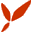 redflymarketing.com