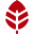 redleafmedia.com
