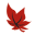 redleafmedical.com