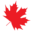 redmapledigital.in