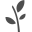redtreealbums.com