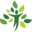 reforestaction.com