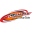 reliablecarriers.com