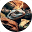 reptiles-universe.com