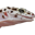 reptilesbymack.com