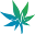 revolutionmedicalcannabis.ca