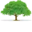 rgalmanza.com