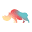 rhino.fi