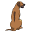 rhodesianridgeback.de