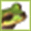 ribbitphotography.com
