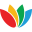 riotcolor.com