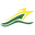 roadtownfastferry.com