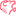 roariptv.com