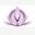roarwellness.com