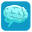 robertoapp.com