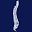 rockfordspine.com
