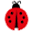 roibg.com
