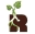 rootedinresilience.org