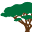 rootsclinic.org