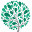 rootsgrow.com