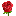 rosaimpex.cz