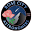 rosecityastronomers.org