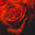 rosecrypto.com