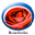 roseindia.net