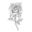 roses.co.uk