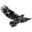 rossidce.com