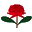 rowingnsw.asn.au