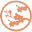 rpointernational.com