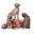 rrcd.de