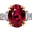 ruby.org.in