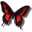rubyx.eu