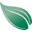 ruccioil.com
