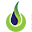ruigrokflowerbulbs.com