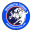 rukometnizurnal.com
