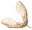 runamokmaple.com