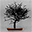 ryanhoover.org