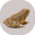 ryanpeek.org