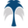 sadr.org